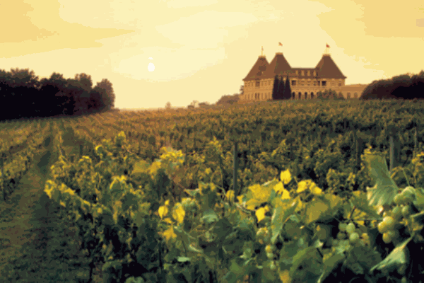 爱思丹露葡萄酒